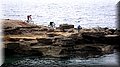 IMG_7970 (Large).JPG