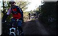 P2011081.JPG