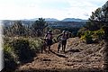 P2011090.JPG