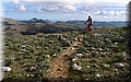P2011111.JPG