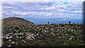 P2011117.JPG