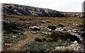 P2011136.JPG
