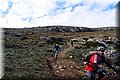 P2011140.JPG