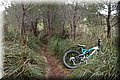 P2011158.JPG