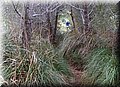 P2011159.JPG