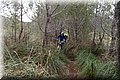 P2011160.JPG