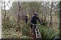 P2011165.JPG
