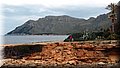 P2011217.JPG