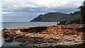 P2011220.JPG