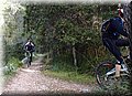 P2081531.JPG
