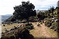 P2081606.JPG