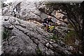 P2081640.JPG