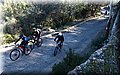 P2121860.JPG