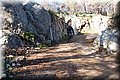 P2152004.JPG