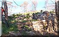 P2152042.JPG