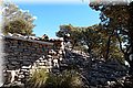 P2222587.JPG
