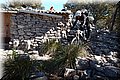 P2222590.JPG