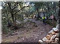 P2252807.JPG