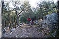 P2252810.JPG