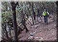 P2252820.JPG