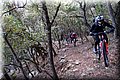 P2252823.JPG