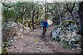 P2252838.JPG
