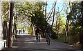 P3080009.JPG