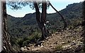 P3080044.JPG