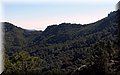 P3080047.JPG