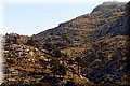 P3080056.JPG
