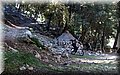 P3080075.JPG