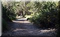 P3080078.JPG