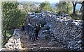 P3150713.JPG
