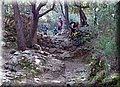 P3150744.JPG