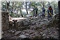 P3150748.JPG