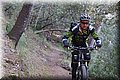 P3150812.JPG