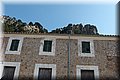 P3150843.JPG