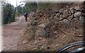 P3220476.JPG