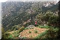 P3220485.JPG