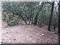 _03220023.JPG