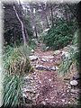 _03220029.JPG