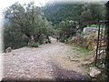 _03220052.JPG