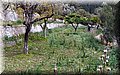 P3290910.JPG