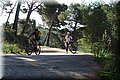 P4011238.JPG