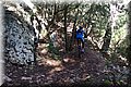P4011300.JPG