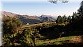P4050002.JPG