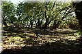 P4050004.JPG