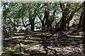 P4050007.JPG