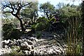 P4050013.JPG
