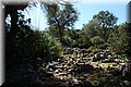 P4050019.JPG